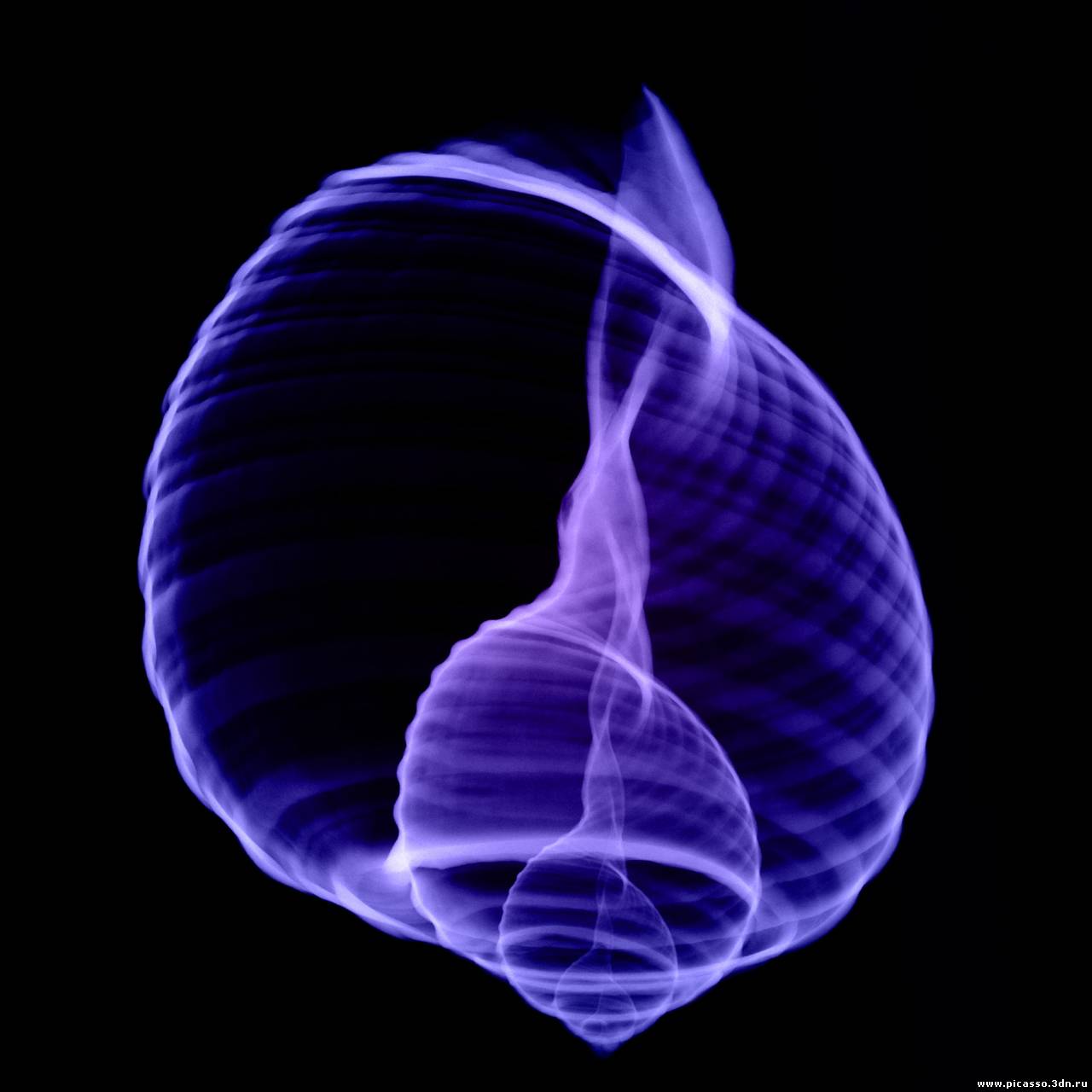 00037876