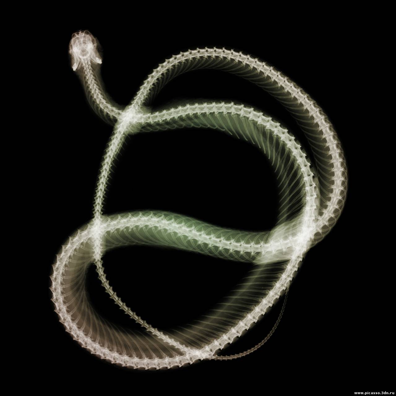 00037881