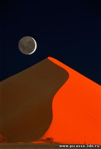 00040592